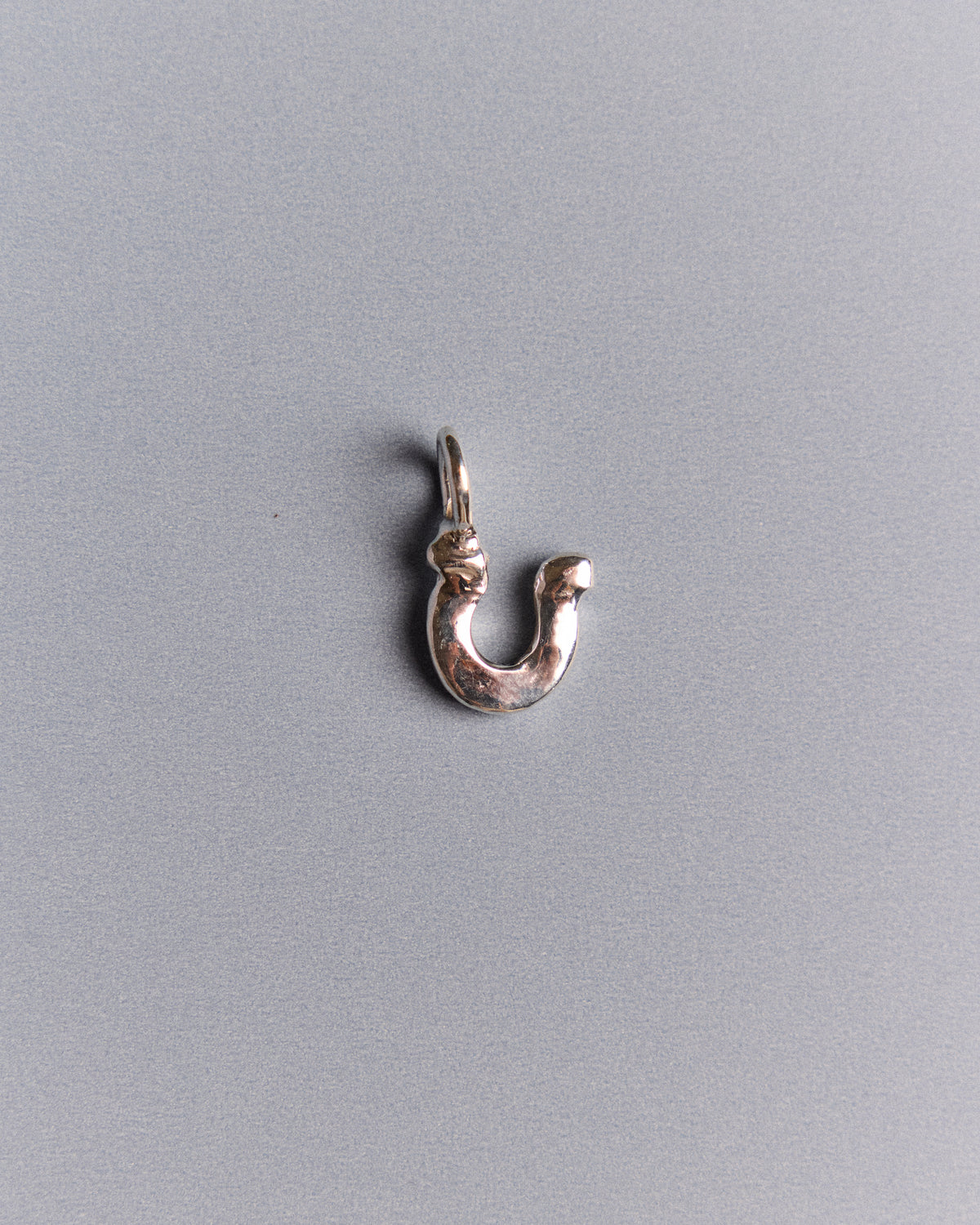 Good Luck Horseshoe
