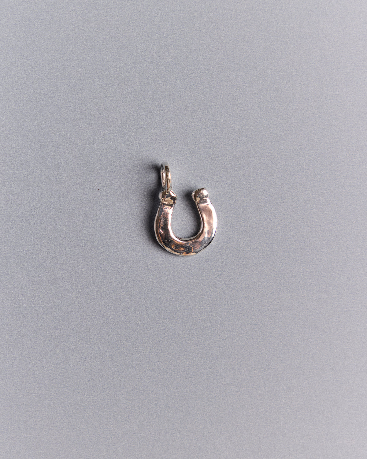 Good Luck Horseshoe